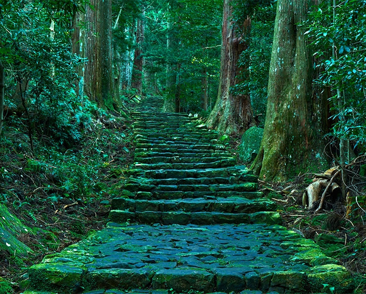 世界遺産の町の山海の恵み、熊野古道おすすめグルメ（和歌山）