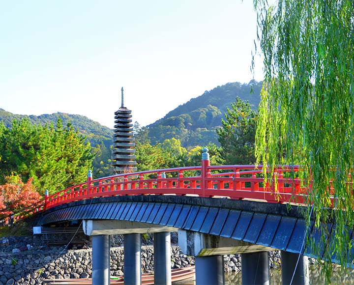 歴史情緒あふれる風光明媚な街、宇治おすすめグルメ（京都）