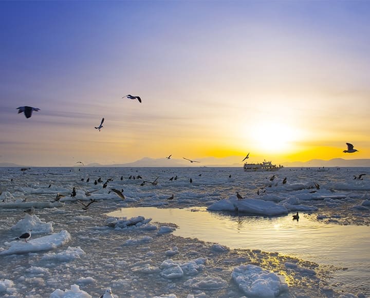 世界遺産に認定されてる生命の楽園、知床（北海道）