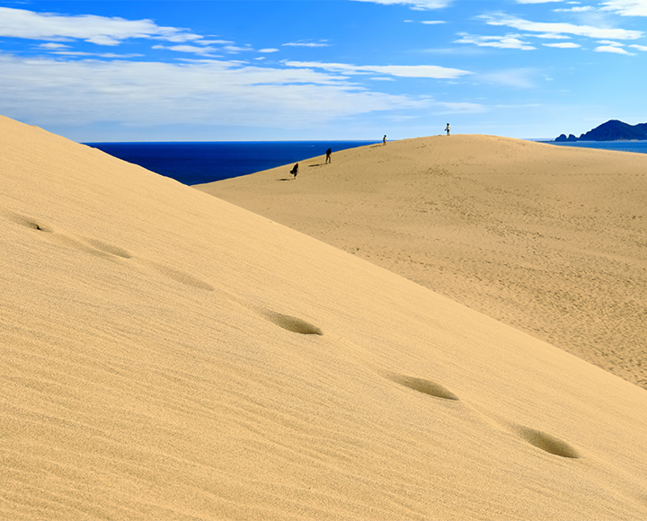 東京から行く2泊3日の旅、出雲・鳥取特集（島根・鳥取）