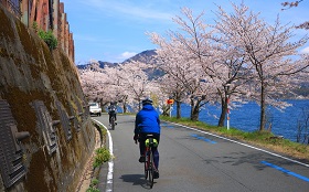 気軽に絶景を！ 春爛漫の桜花見ロングライドの魅力とおすすめスポット