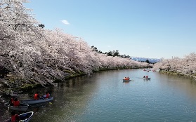 桜マニア気象予報士・千種ゆり子さんが今、おすすめしたい桜スポット5選