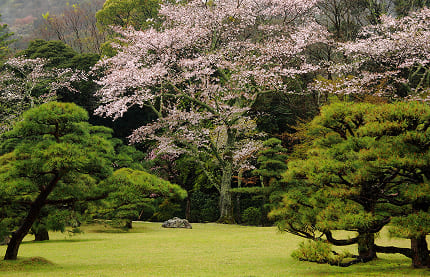 伊勢神宮の写真3