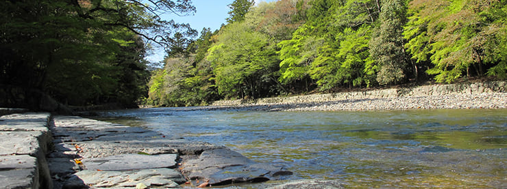 伊勢神宮の写真4