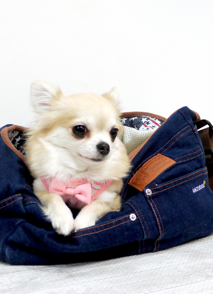 ANZUDOG ネイビー Mサイズ♡キャリーバッグ 旅行バッグを選ぶなら】旅色×ANZUDOG あんずドッグ｜旅好き女性