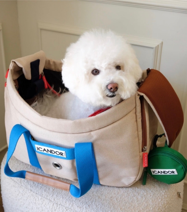 【KITCHMOOD】PREMIUM LINE dog camer bag（Ivory）