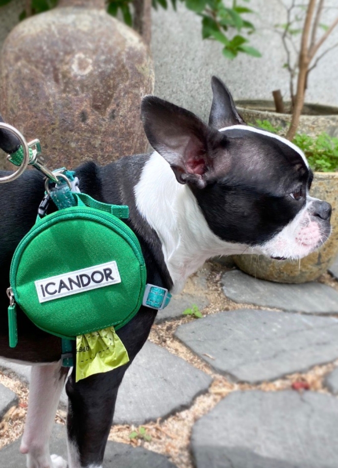 旅行バッグを選ぶなら】旅色×URBAN DOG TOKYO|旅好き女性・自分 旅行バッグを選ぶなら】旅色×URBAN DOG TOKYO|旅好き女性・自分