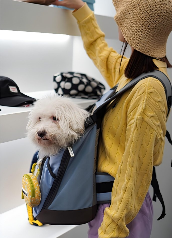 旅行バッグを選ぶなら】旅色×iCANDOR｜愛犬との旅行を快適にする多機能