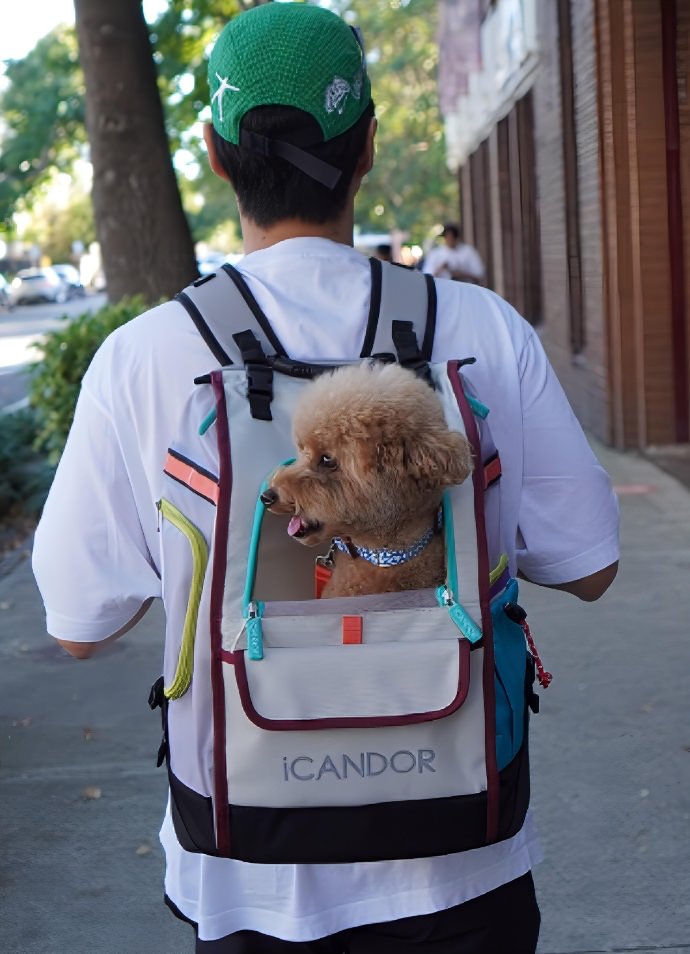 旅行バッグを選ぶなら】旅色×iCANDOR｜愛犬との旅行を快適にする多機能