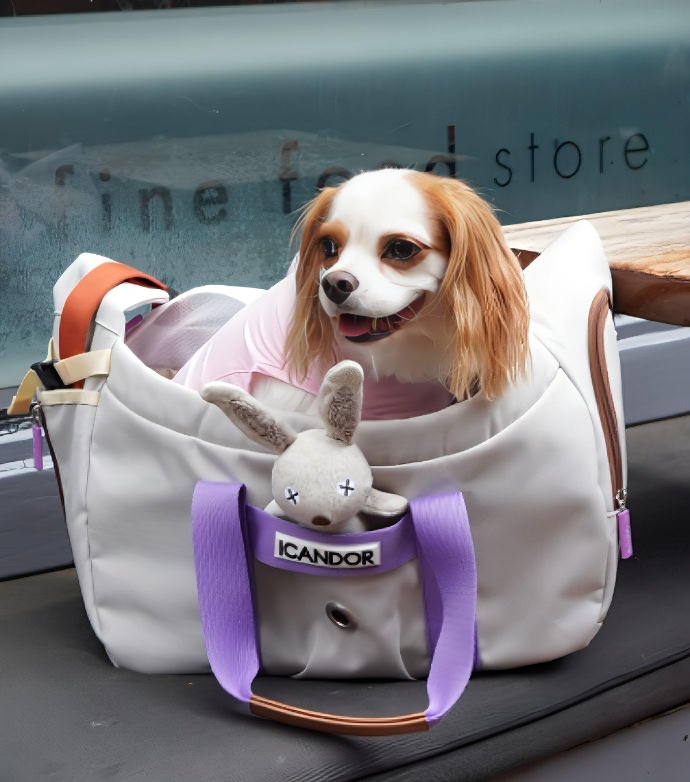 旅行バッグを選ぶなら】旅色×iCANDOR｜愛犬との旅行を快適にする多機能