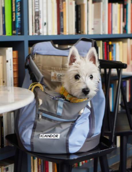 旅行バッグを選ぶなら】旅色×iCANDOR｜愛犬との旅行を快適にする多機能