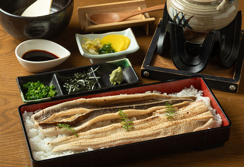 魚夏