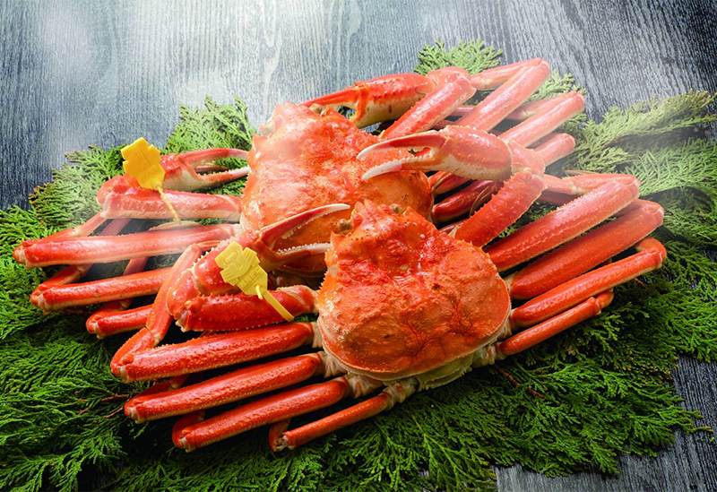 日本料理 越前がに 緒ばた