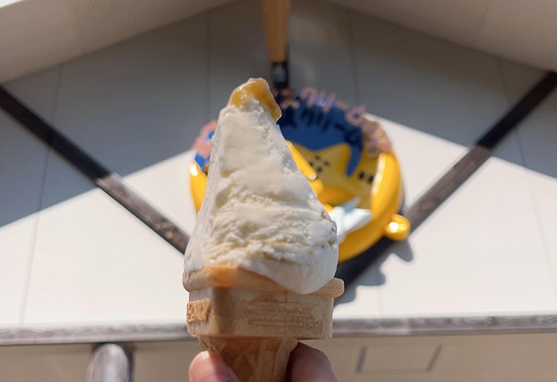 手づくりアイスクリームの店 ポラーノ
