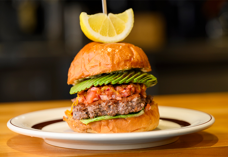 EARTH BURGER