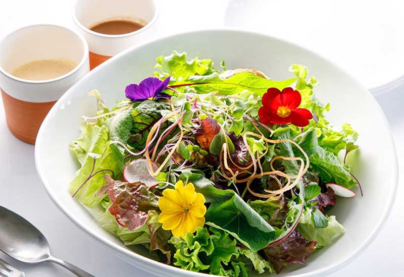 オーソルヴェール軽井沢倶楽部