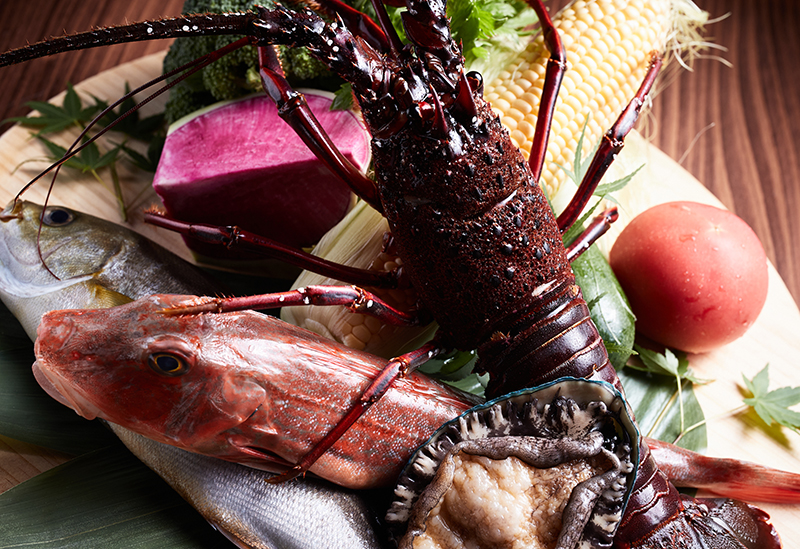 プランチャ エル