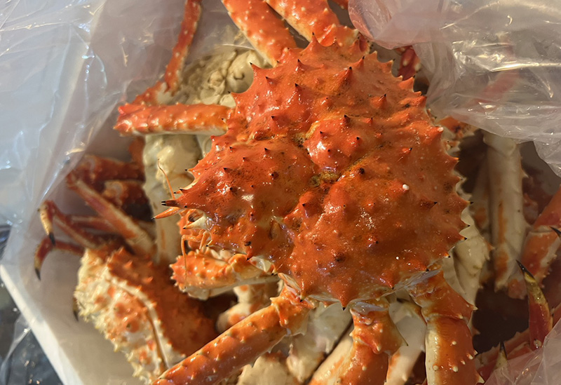 食いしん坊万歳