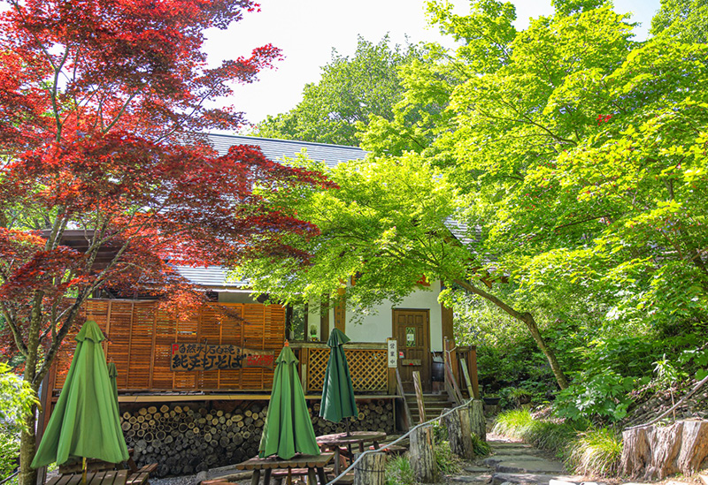 手打そばもみじ野