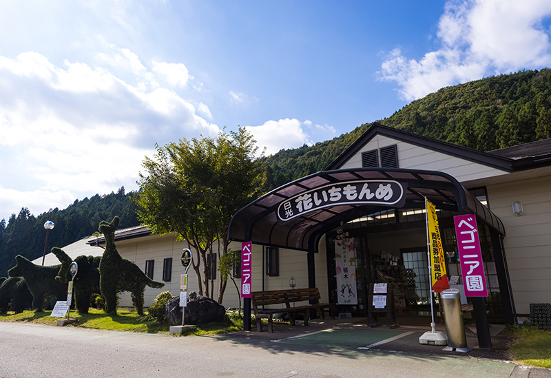 日光花いちもんめ