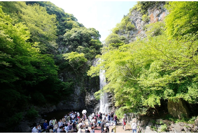 箕面の滝