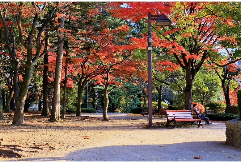 勾当台公園