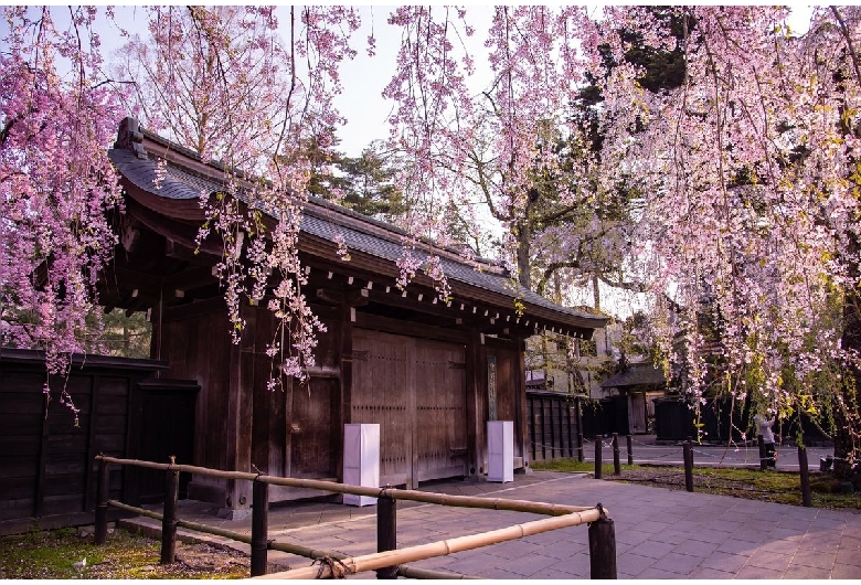 角館樺細工伝承館