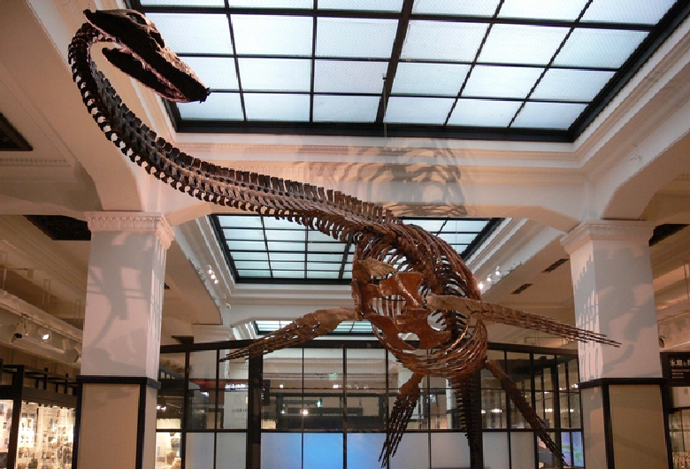 国立科学博物館