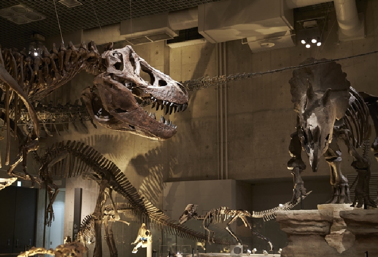 国立科学博物館