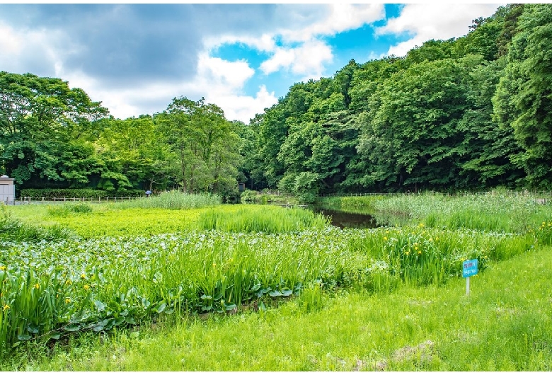 市川市動植物園