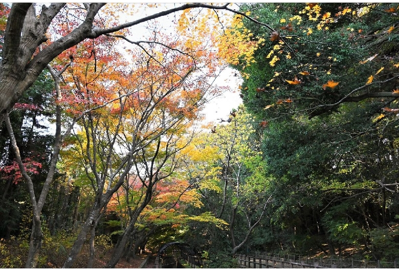 市川市動植物園