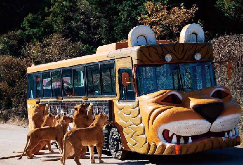 秋吉台自然動物公園 サファリランド