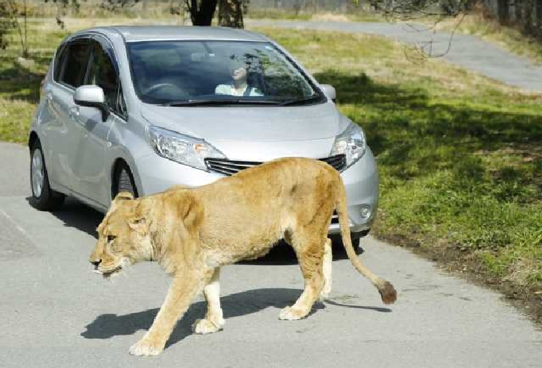 姫路セントラルパーク