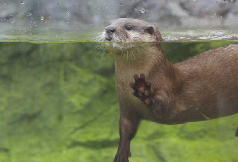 姫路セントラルパーク