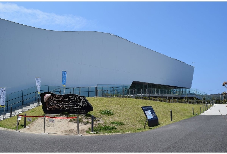 鶴岡市立加茂水族館（クラゲ水族館）