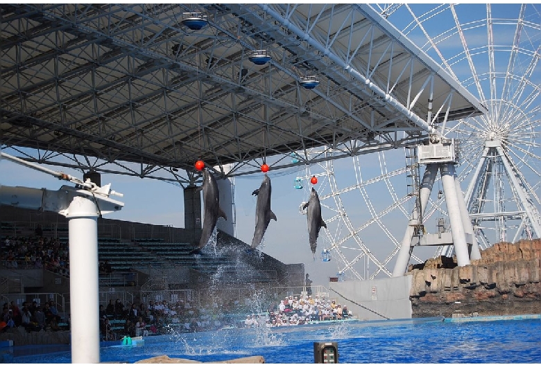 名古屋港水族館