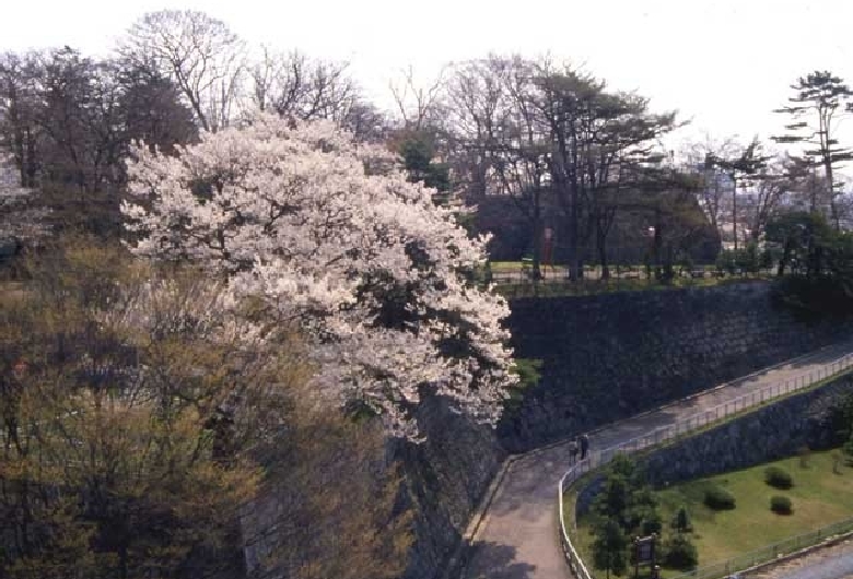 盛岡城跡公園（岩手公園）