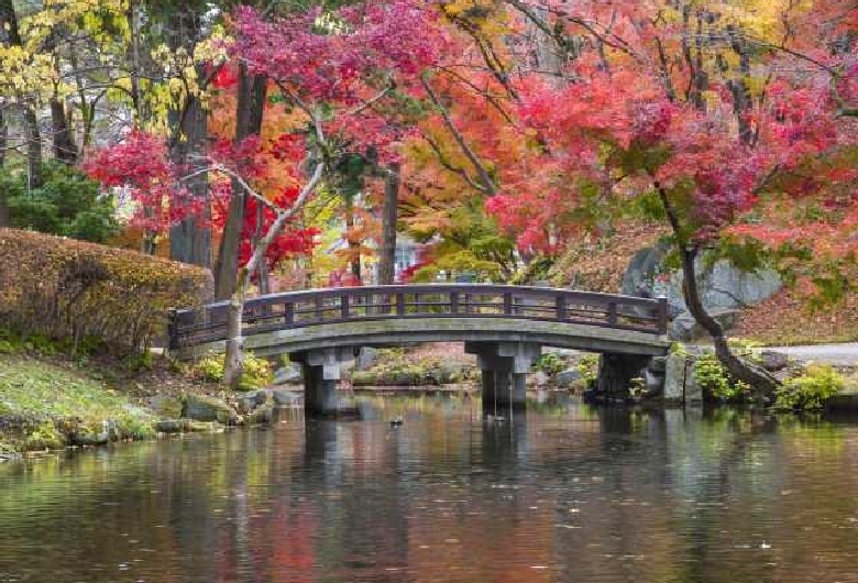 盛岡城跡公園（岩手公園）