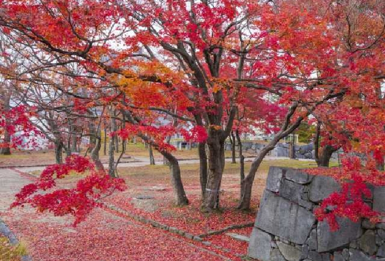 盛岡城跡公園（岩手公園）