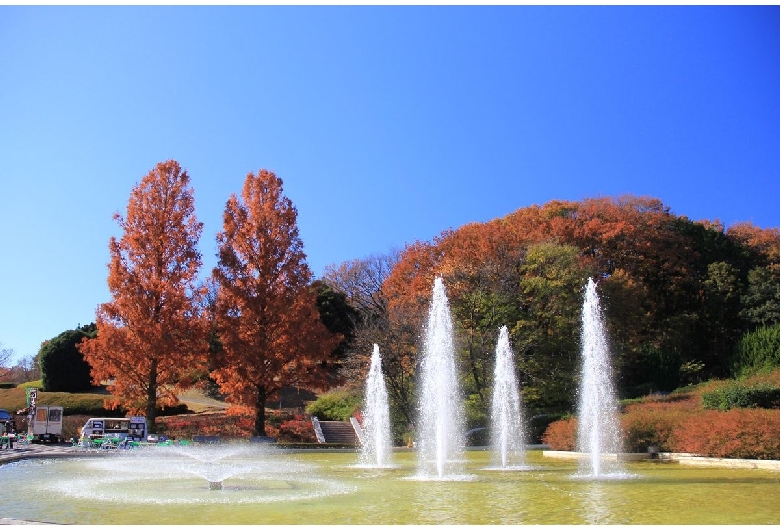 国営武蔵丘陵森林公園