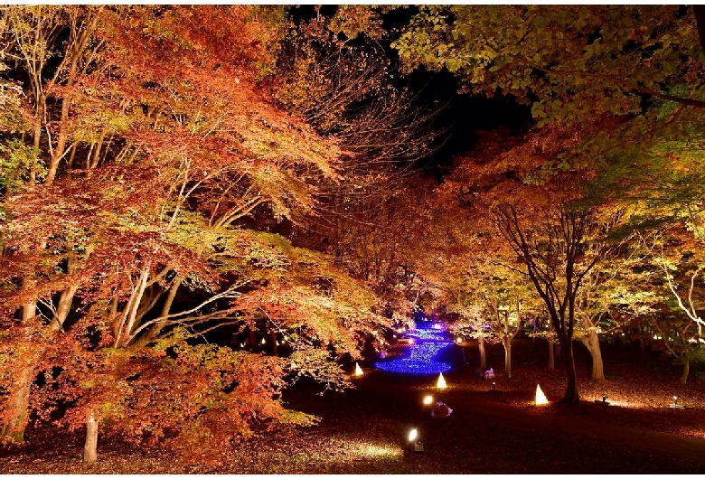 国営武蔵丘陵森林公園