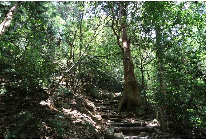 筑波山 茨城県つくば市のおすすめ観光スポット レジャー 旅色 旅色