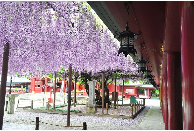 笠間稲荷神社