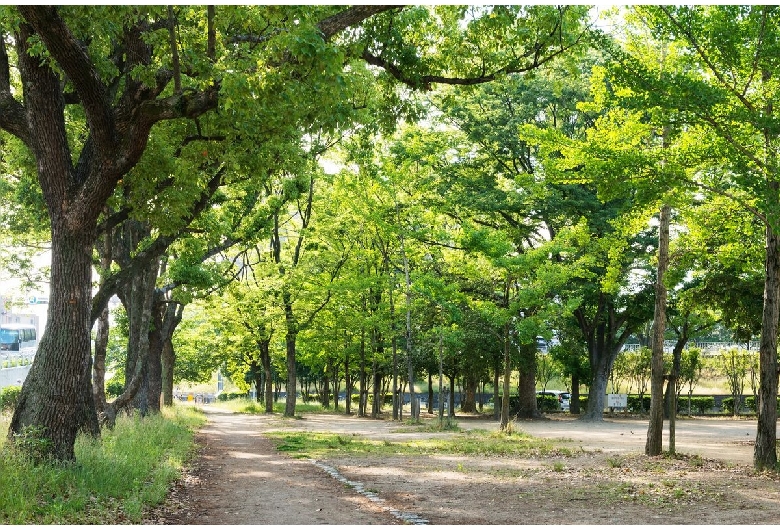 芝公園