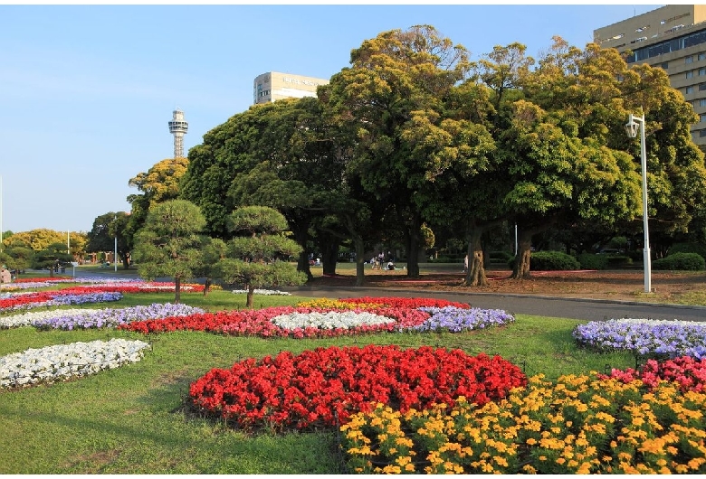 山下公園（横浜：山下地区）