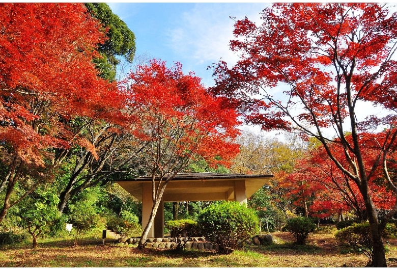 源氏山公園