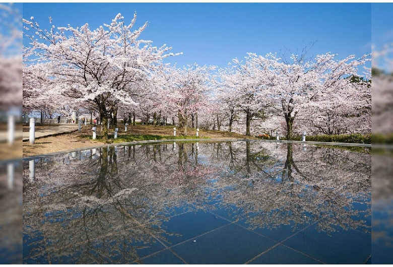 白山公園