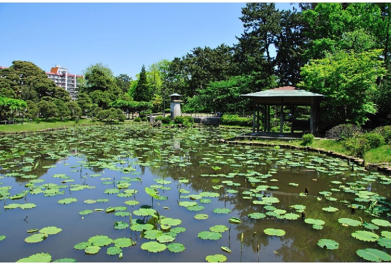 白山公園