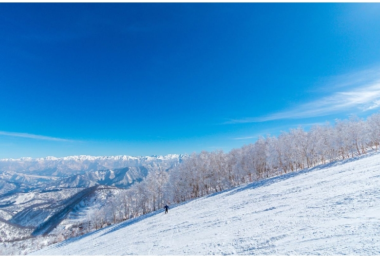 長岡・柏崎