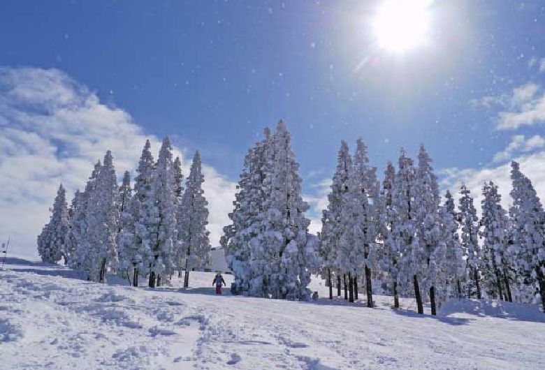 上越国際スキー場